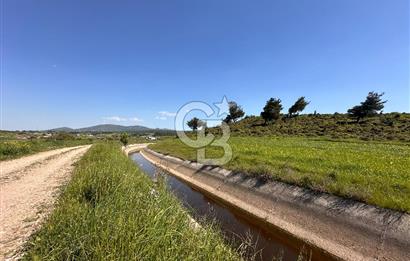 ÇANAKKALE BAYRAMİÇ/TÜRKMENLİ'DE 4063 m2 SATILIK TARLA