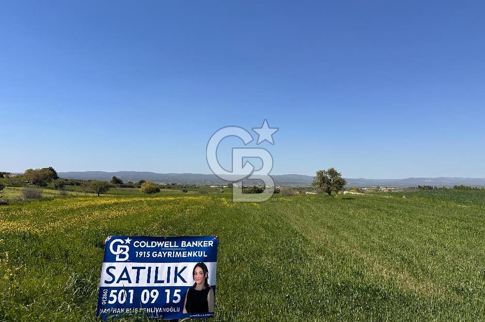 ÇANAKKALE BAYRAMİÇ/TÜRKMENLİ'DE 4063 m2 SATILIK TARLA