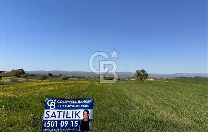 ÇANAKKALE BAYRAMİÇ/TÜRKMENLİ'DE 4063 m2 SATILIK TARLA