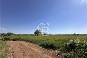ÇANAKKALE BAYRAMİÇ/TÜRKMENLİ KÖYÜNDE SATILIK 3950 m² ARSA - 11 - 346928