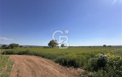 ÇANAKKALE BAYRAMİÇ/TÜRKMENLİ KÖYÜNDE SATILIK 3950 m² ARSA