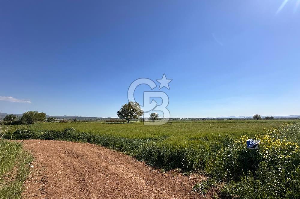 ÇANAKKALE BAYRAMİÇ/TÜRKMENLİ KÖYÜNDE SATILIK 3950 m² ARSA