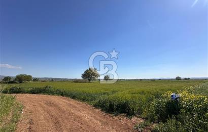 ÇANAKKALE BAYRAMİÇ/TÜRKMENLİ KÖYÜNDE SATILIK 3950 m² ARSA