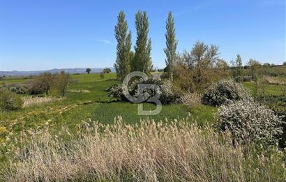ÇANAKKALE BAYRAMİÇ/TÜRKMENLİ KÖYÜ 204 m2 SATILIK BAHÇE