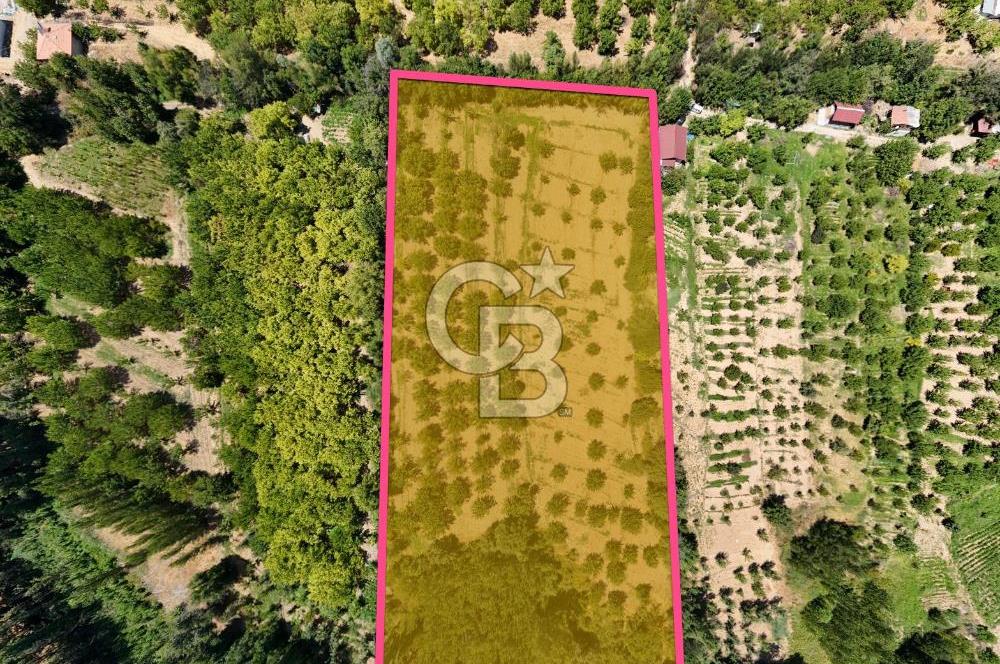 COLDWELL BANKER SAFİR'den SAMANKÖY MEVKİİ'nde SATILIK BAHÇE