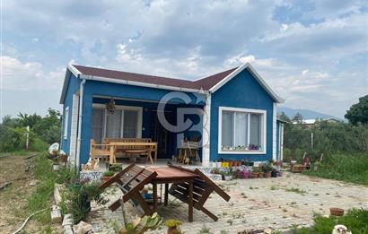 KEMALPAŞA ARMUTLU'DA SATILIK TARLA
