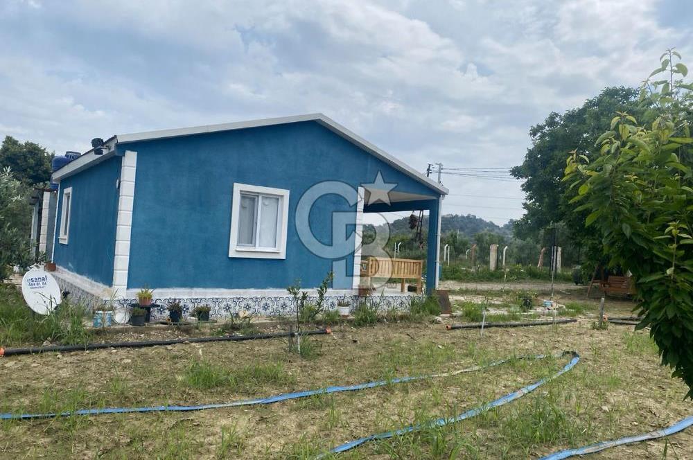 KEMALPAŞA ARMUTLU'DA SATILIK TARLA