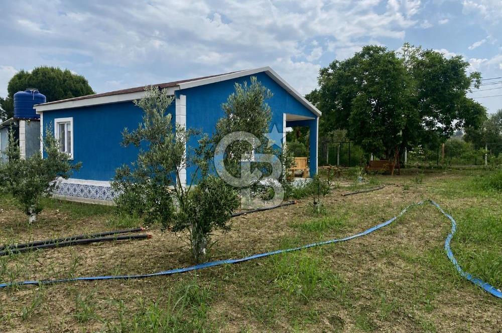 KEMALPAŞA ARMUTLU'DA SATILIK TARLA