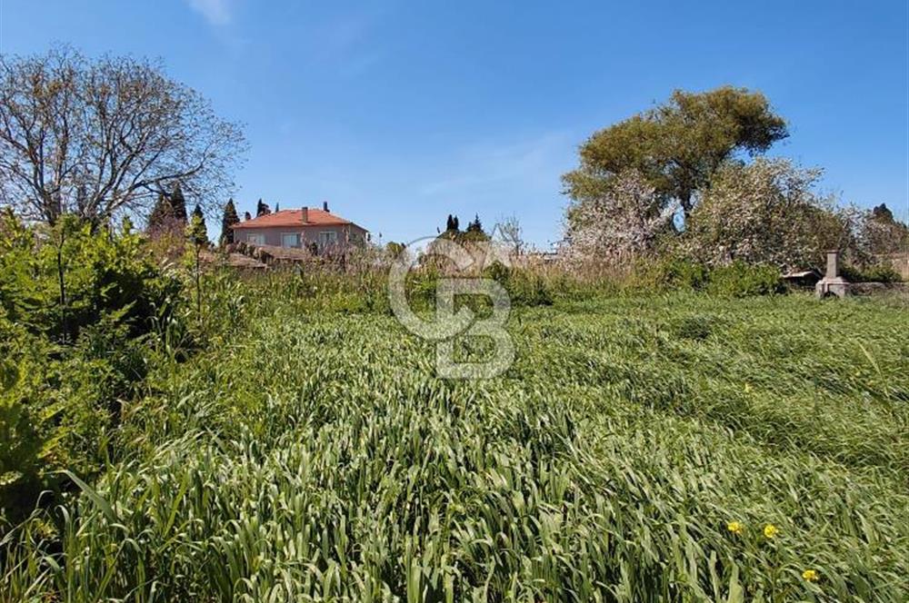 ÇANAKKALE BAYRAMİÇ/TÜRKMENLİDE SATILIK 2.800 m² ARSA