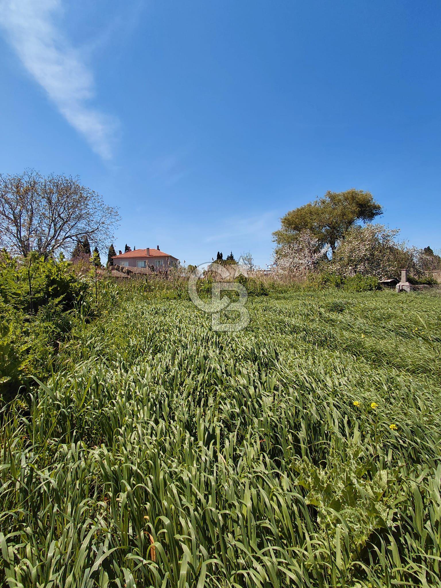 ÇANAKKALE BAYRAMİÇ/TÜRKMENLİDE SATILIK 2.800 m² ARSA