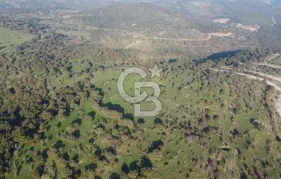 ÇANAKKALE AYVACIK PAŞAKÖY DENİZ MANZARALI İMARLI 5001 M2 ARSA