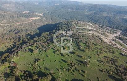 ÇANAKKALE AYVACIK PAŞAKÖY DENİZ MANZARALI İMARLI 5001 M2 ARSA