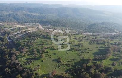 ÇANAKKALE AYVACIK PAŞAKÖY DENİZ MANZARALI İMARLI 5001 M2 ARSA
