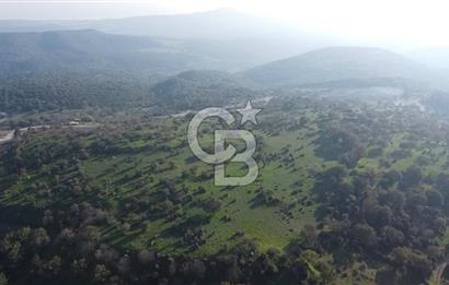 ÇANAKKALE AYVACIK PAŞAKÖY DENİZ MANZARALI İMARLI 5001 M2 ARSA