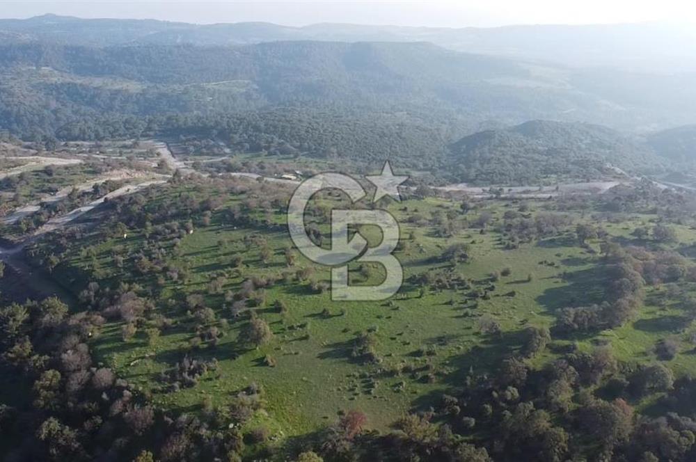 ÇANAKKALE AYVACIK PAŞAKÖY DENİZ MANZARALI İMARLI 5001 M2 ARSA
