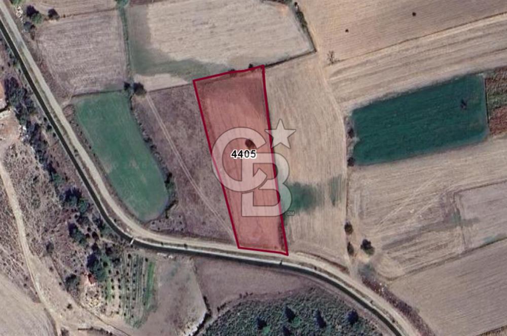 ÇANAKKALE BAYRAMİÇ/TÜRKMENLİ'DE 4063 m2 SATILIK TARLA