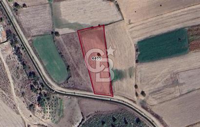 ÇANAKKALE BAYRAMİÇ/TÜRKMENLİ'DE 4063 m2 SATILIK TARLA
