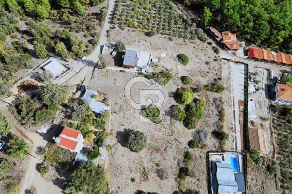 KUMLUCA YAZIRDA DOĞAYLA İÇ İÇE SATILIK YATIRIM FIRSATI