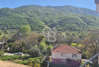 YALOVA ÇINARCIK TEŞVİKİYE DENİZ VE DOĞA MANZARALI DUBLEX DAİRE!. - 9 - 346965