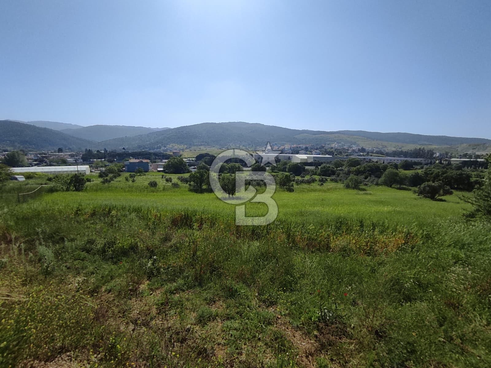 İzmir Güzelbahçe Çamlı'da Yatırımlık I Projelik Satılık Arazi