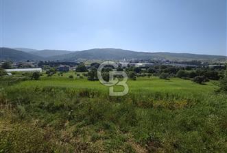 İzmir Güzelbahçe Çamlı'da Yatırımlık I Projelik Satılık Arazi - 7 - 346944