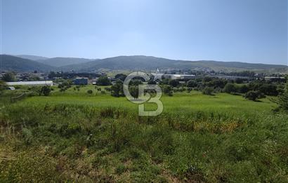 İzmir Güzelbahçe Çamlı'da Yatırımlık I Projelik Satılık Arazi