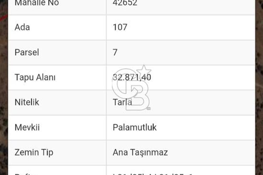 Buharkent Muratdağı Mah. 32.871 M² Satılık Tarla