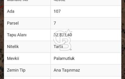 Buharkent Muratdağı Mah. 32.871 M² Satılık Tarla