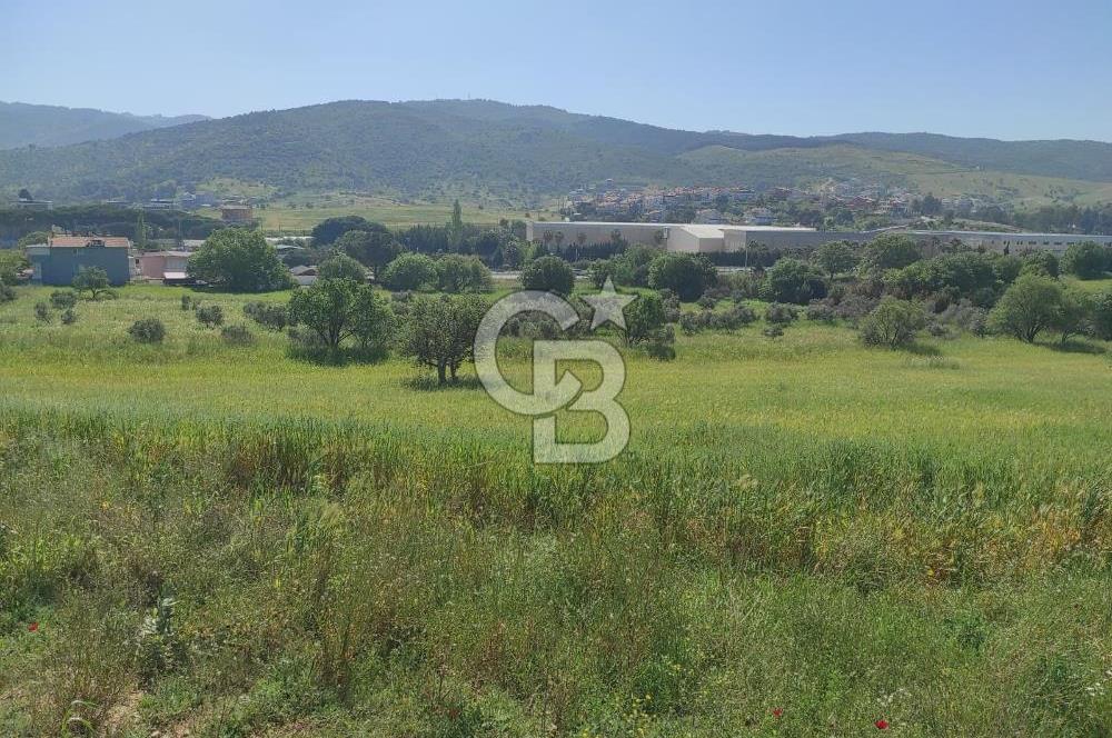 İzmir Güzelbahçe Çamlı'da Yatırımlık I Projelik Satılık Arazi