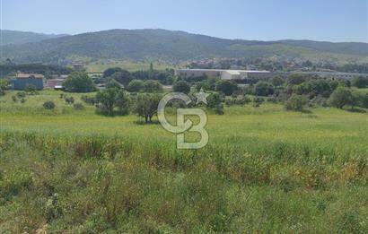 İzmir Güzelbahçe Çamlı'da Yatırımlık I Projelik Satılık Arazi