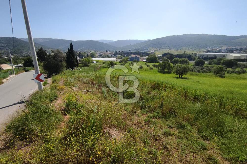 İzmir Güzelbahçe Çamlı'da Yatırımlık I Projelik Satılık Arazi