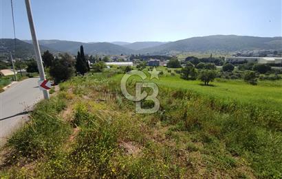 İzmir Güzelbahçe Çamlı'da Yatırımlık I Projelik Satılık Arazi