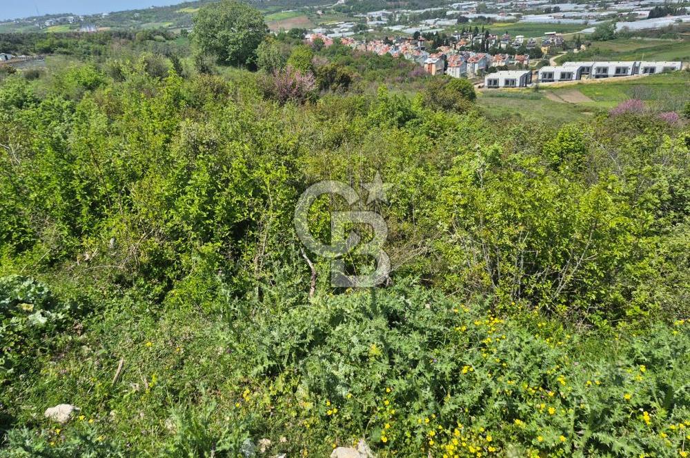 YALOVA TERMAL AKKÖY SATILIK DENİZ VE DOĞA MANZARALI ARSA 407m2!.