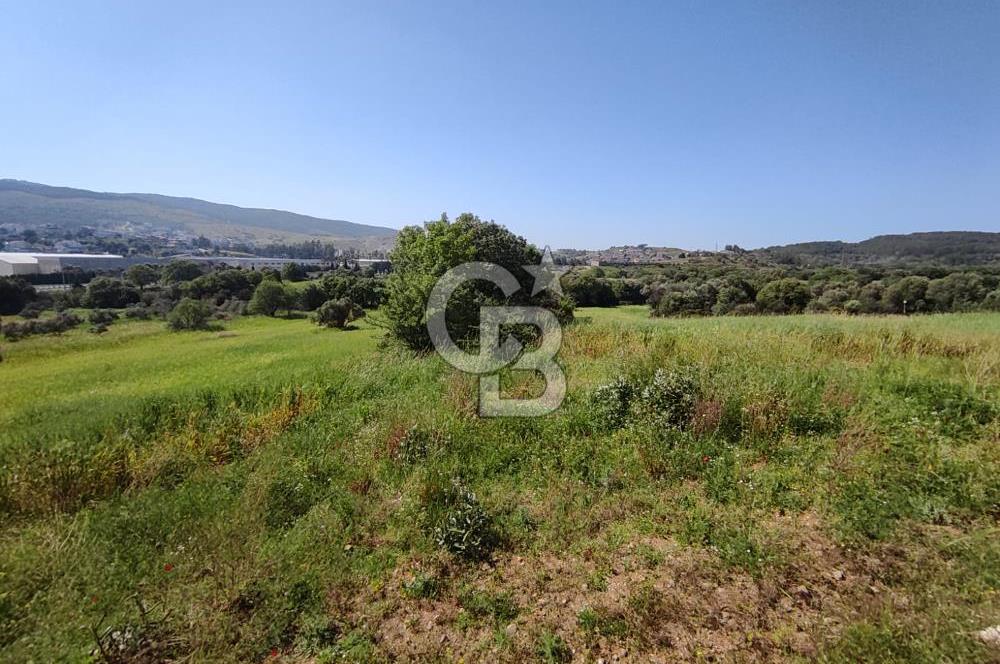 İzmir Güzelbahçe Çamlı'da Yatırımlık I Projelik Satılık Arazi