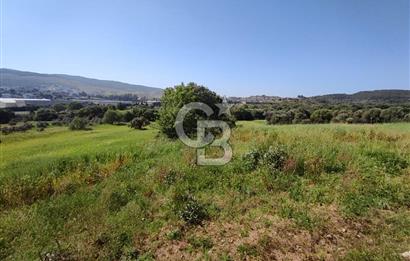 İzmir Güzelbahçe Çamlı'da Yatırımlık I Projelik Satılık Arazi