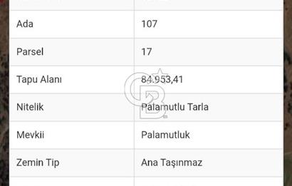 Buharkent Muratdağı Mah. 84.953 M² Satılık Tarla