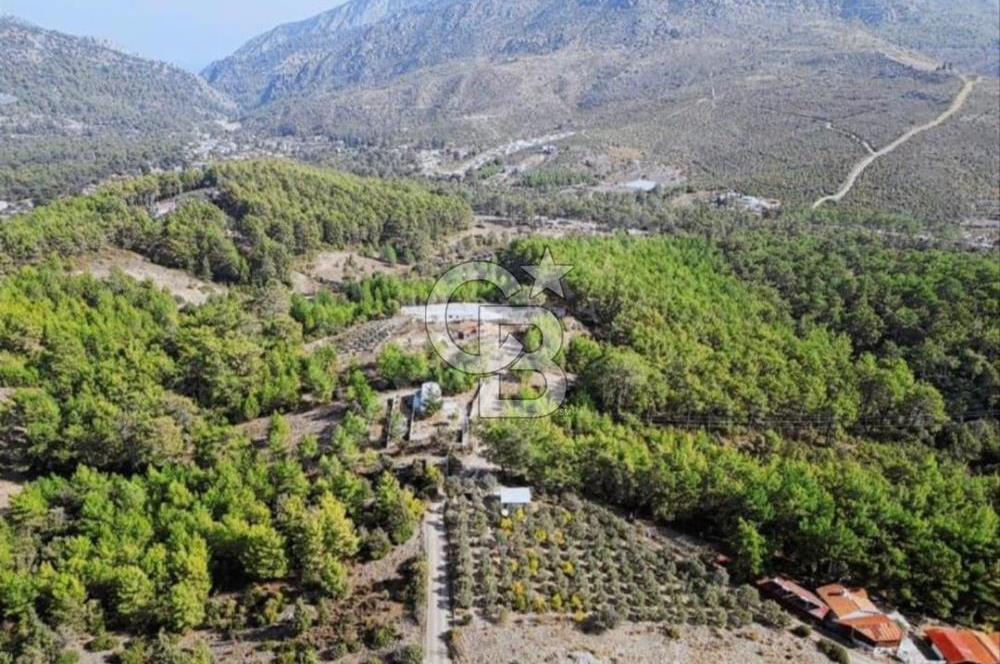 KUMLUCA YAZIRDA DOĞAYLA İÇ İÇE SATILIK YATIRIM FIRSATI