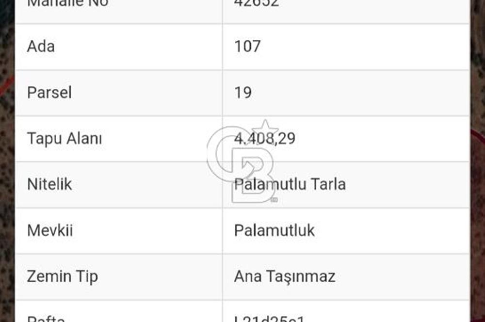 Buharkent Muratdağı Mah. Satılık Tarla