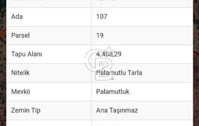 Buharkent Muratdağı Mah. Satılık Tarla