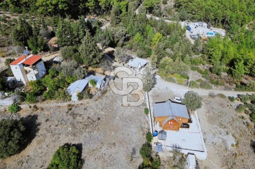 KUMLUCA YAZIRDA DOĞAYLA İÇ İÇE SATILIK YATIRIM FIRSATI