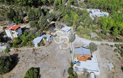 KUMLUCA YAZIRDA DOĞAYLA İÇ İÇE SATILIK YATIRIM FIRSATI