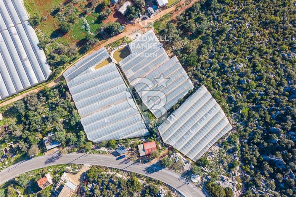 ANTALYA DEMRE KAPAKLI 2 ADET MÜSTAKİL PARSEL SERA VE ORTAKÇI EVİ