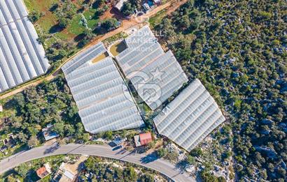 ANTALYA DEMRE KAPAKLI 2 ADET MÜSTAKİL PARSEL SERA VE ORTAKÇI EVİ
