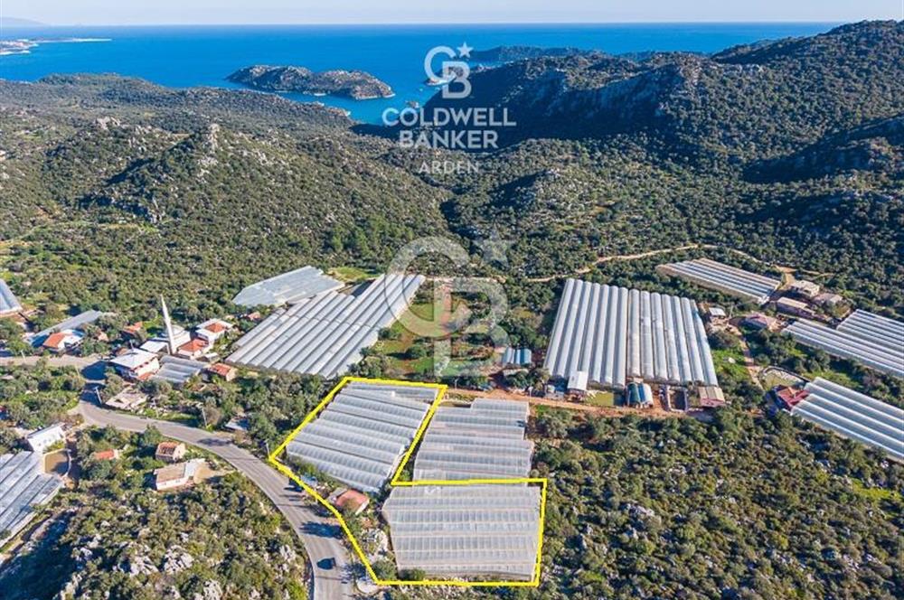 ANTALYA DEMRE KAPAKLI 2 ADET MÜSTAKİL PARSEL SERA VE ORTAKÇI EVİ