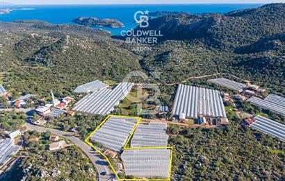ANTALYA DEMRE KAPAKLI 2 ADET MÜSTAKİL PARSEL SERA VE ORTAKÇI EVİ
