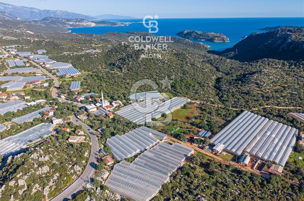 ANTALYA DEMRE KAPAKLI 2 ADET MÜSTAKİL PARSEL SERA VE ORTAKÇI EVİ