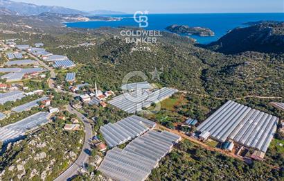 ANTALYA DEMRE KAPAKLI 2 ADET MÜSTAKİL PARSEL SERA VE ORTAKÇI EVİ
