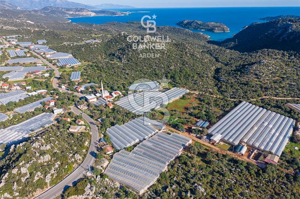 ANTALYA DEMRE KAPAKLI 2 ADET MÜSTAKİL PARSEL SERA VE ORTAKÇI EVİ