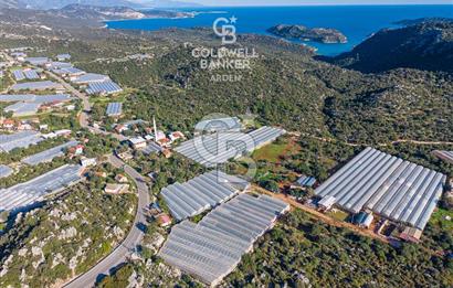 ANTALYA DEMRE KAPAKLI 2 ADET MÜSTAKİL PARSEL SERA VE ORTAKÇI EVİ