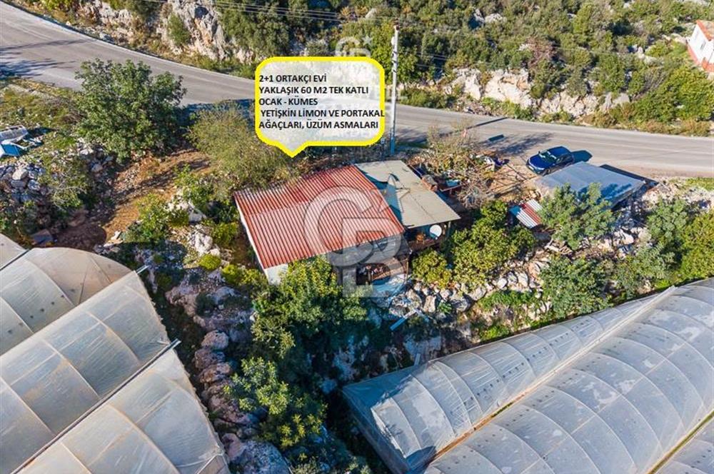 ANTALYA DEMRE KAPAKLI 2 ADET MÜSTAKİL PARSEL SERA VE ORTAKÇI EVİ
